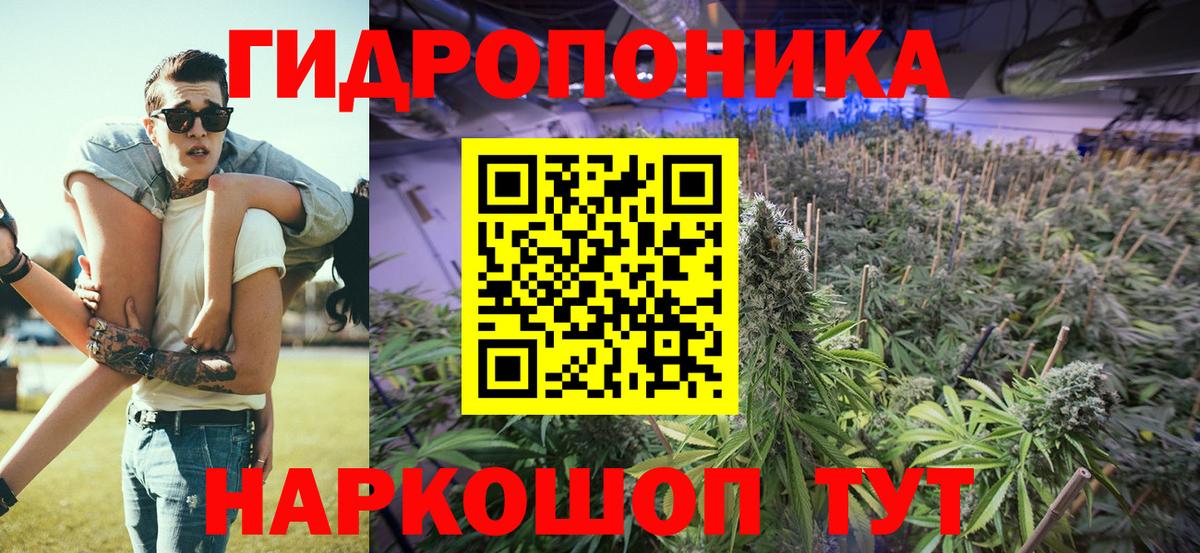Бошки Шишки Amnesia Шатура